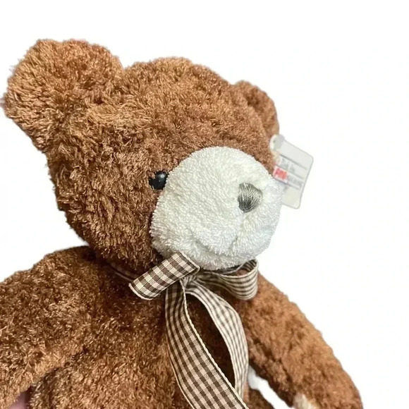March of Dimes Bean Bag for Babies Vintage 2003 Brown Teddy Bear Plush - Picture 12 of 12